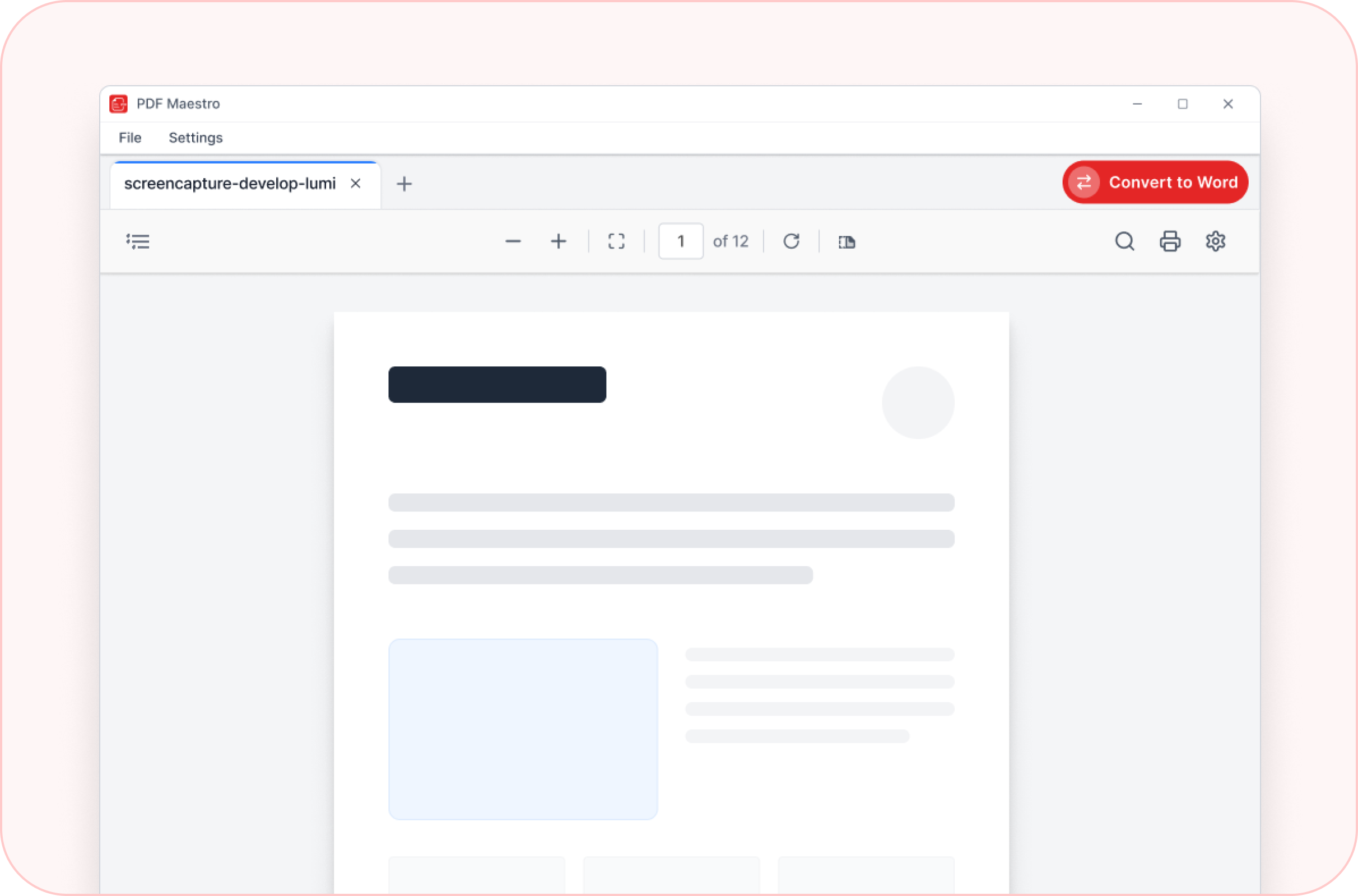 Convert PDF to Word – conversion interface inside PDF Maestro